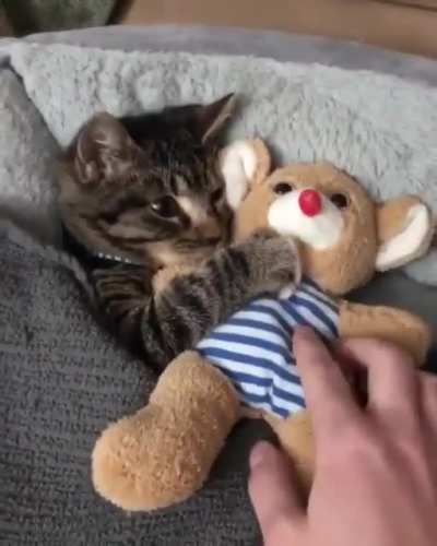 "Mom! Don't forget the teddy!" I think my heart just melted