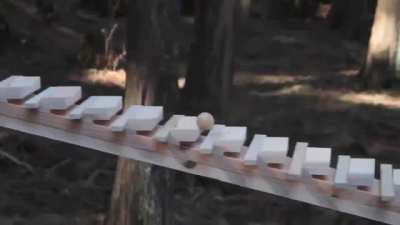 This is amazing! An enormous xylophone in the woods of Kyushu, Japan plays a Bach tune when a wooden ball rolls down each "key."