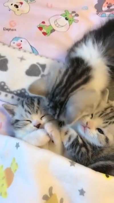I cant stop watching this. ??