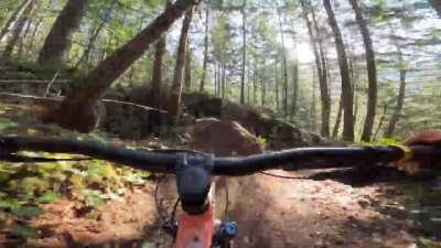 Wrong turn ?
