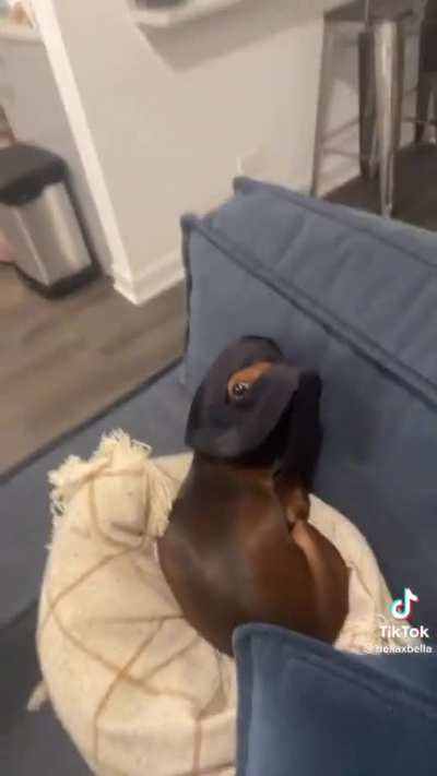 looking very guilty