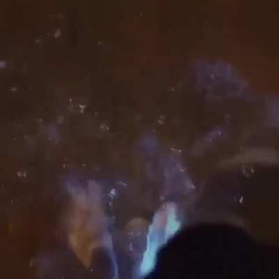 ? Bioluminescent Beach ?