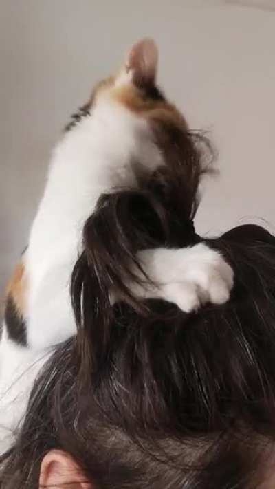 WFH hairdresser