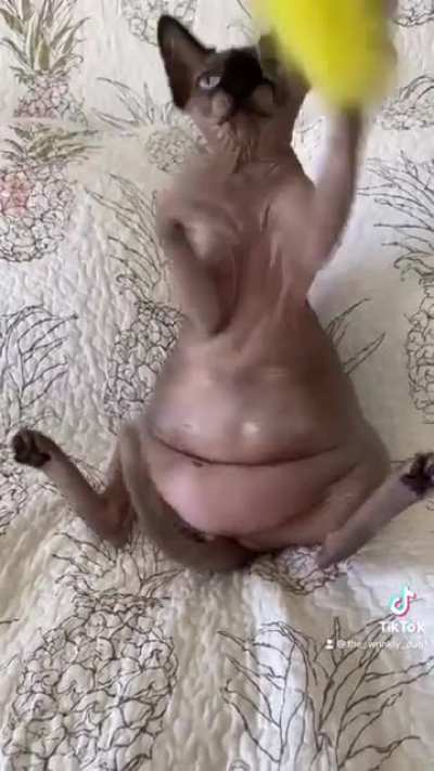 Doing A Little Speed Work? Keeping These Arms In Shape