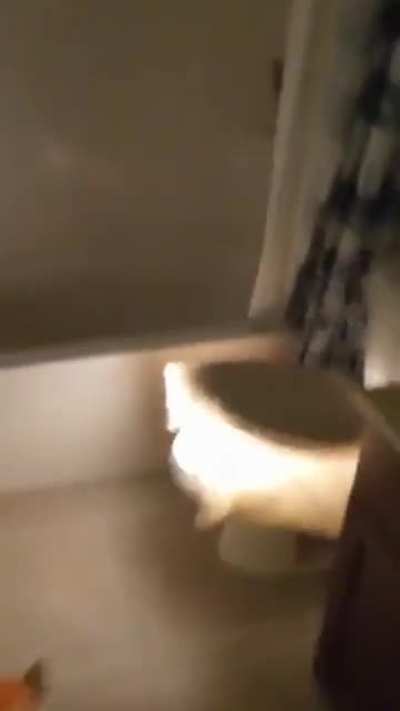 Wait for it
