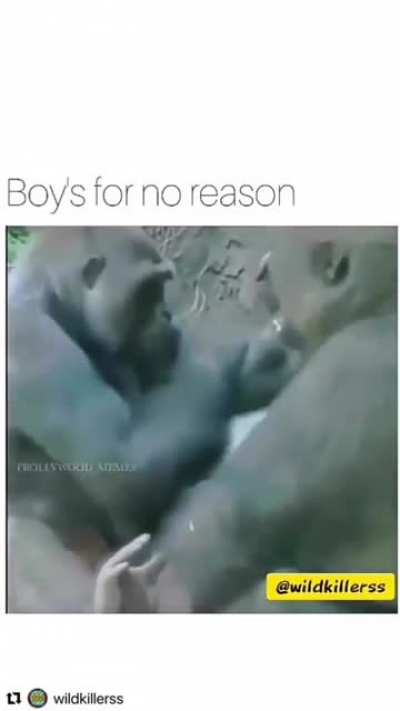 Most Primates have the same reaction to inappropriate touches just like us..