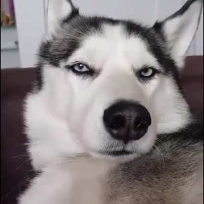 That look along with the ending. Perfect.