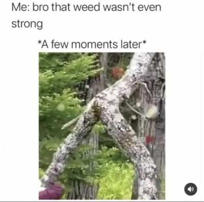 Nice ? *unzips*