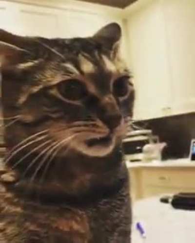 I know that look ?