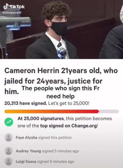 Bro the tiktokers are going free him
