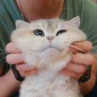 Soft and warm