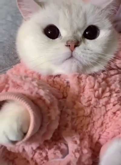 Good morning!