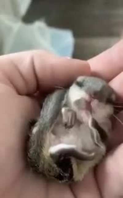 SO SWEET!!!!!!!!!!!!!!??️