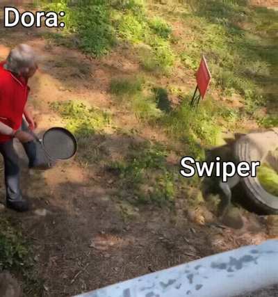 Swiper no swiping!