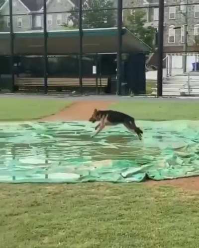 Fun Time?