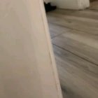 A very haunting cat