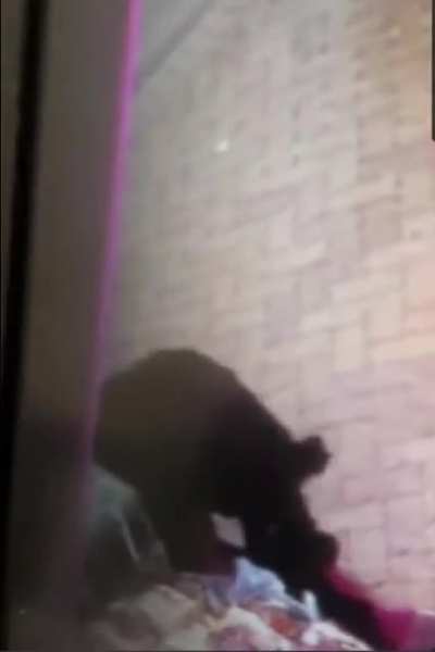 WCGW petting random dog outside the shop