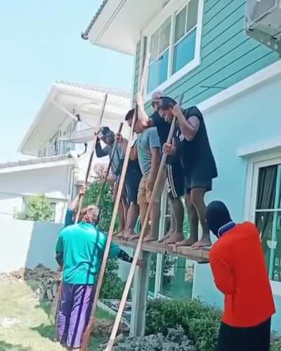 Just doin their thing