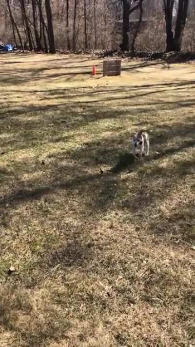 blind boi made it to 19 and is still zoomin’