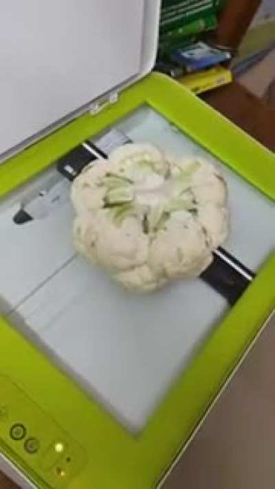 What happens if you photocopy a cauliflower