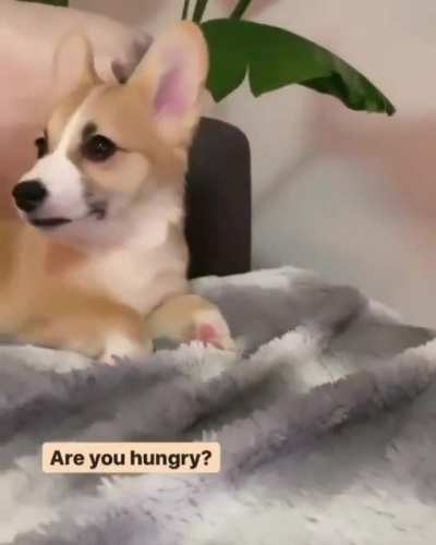 Are you hungry?