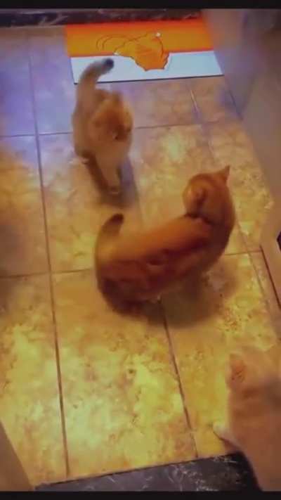 Maybe Maybe Maybe
