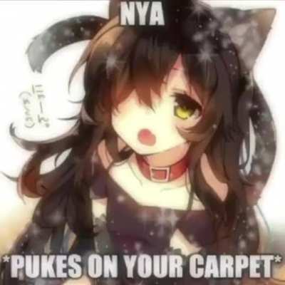cat girlfriend