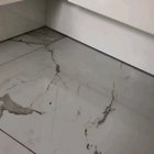 My aunt adopted a kitty a few days ago and she gave her half an heart attack when she disappeared for 2 hours. This is where she was hiding