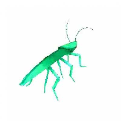 Idk what to post so here is a rgb dancing roach