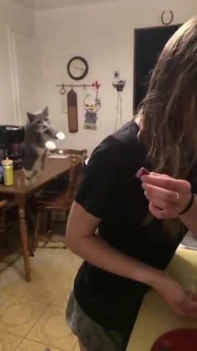 Hoping that her back is OK ?