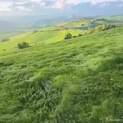 Beautiful