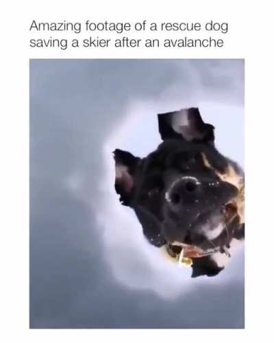 I'm saved!