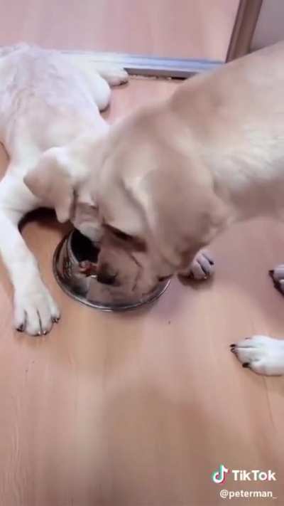 Such a great mom ?