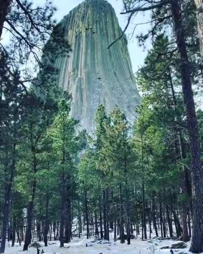 ? Devil’s Tower, Wyoming