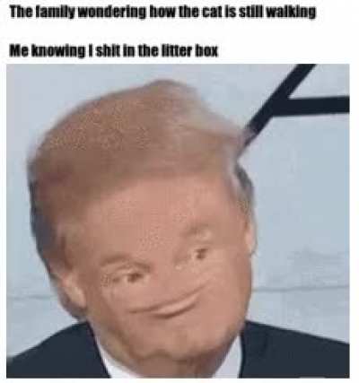 Big brain play