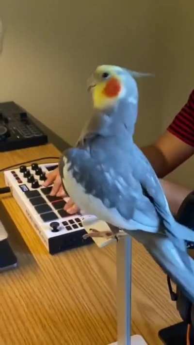 Amazing Singer??.. can you sing like that...?