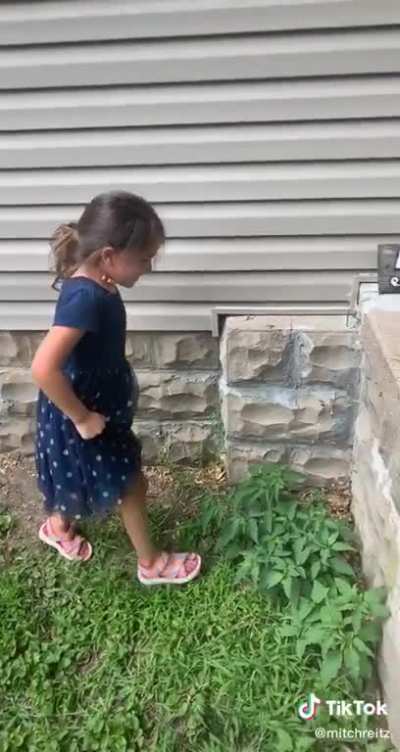 how? kids never fail to make me shake my head