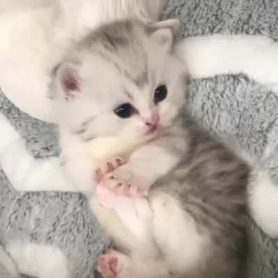 Little sweetie...