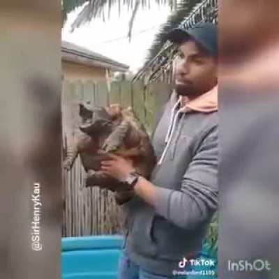 Slightly edited video of this Turtle not “Overreacting”