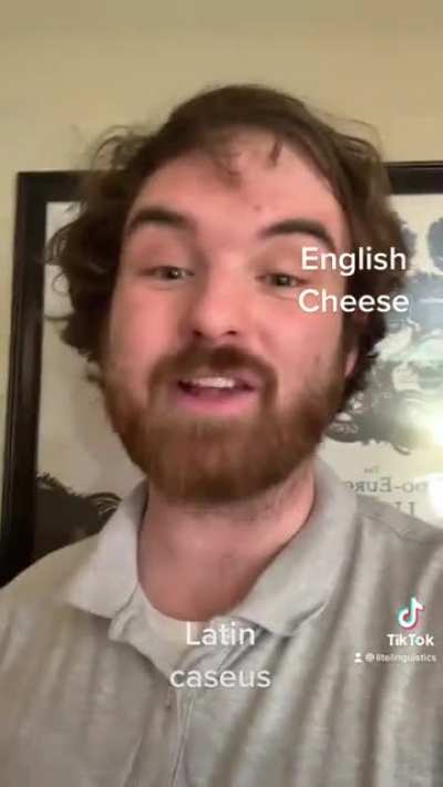 The Story of Cheese