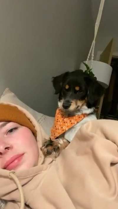 "well forget you then" -doggo