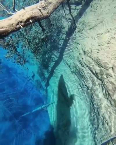 ? This little crater with perfectly clear water ?