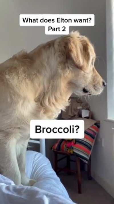 What did you say?