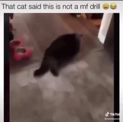 My favorite video when I’m feeling down ? ?