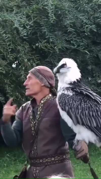 The bearded vulture is the only known animal whose diet is almost exclusively bone