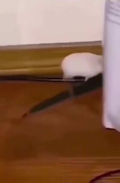 Runnnn