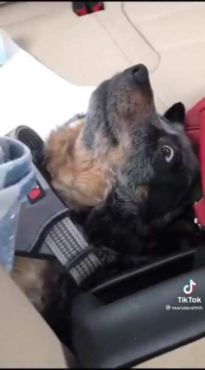 "Get me outta this car, I'll walk"