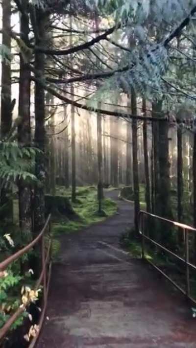 ? This stunning hiking trail ?