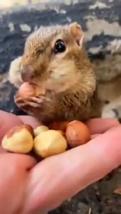 Feeding squishy is so cute! ???