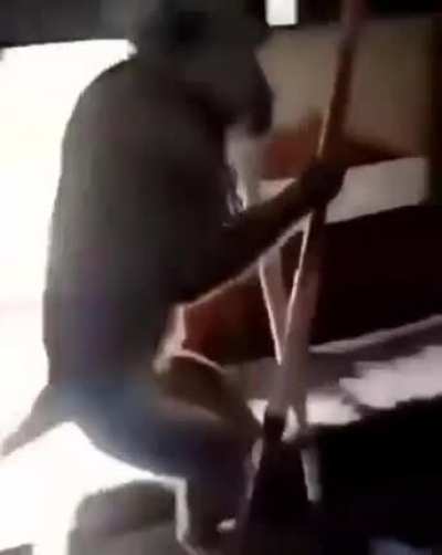 when the mokey gets the stilts